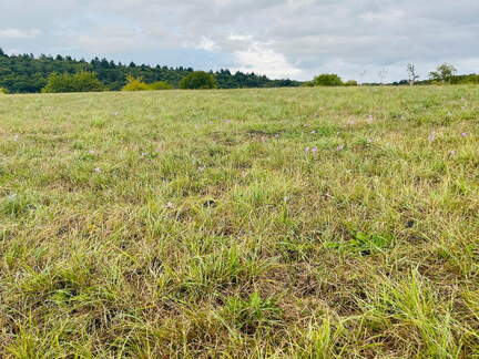 22-09-10 17-58-14 1975